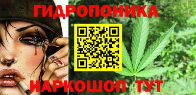 крисы Рязань