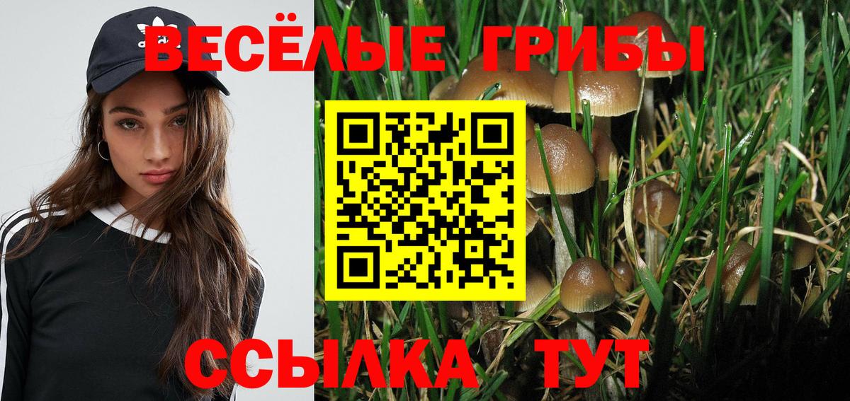 Рузаевка  Галлюциногенные грибы мицелий  Вход с VPN 